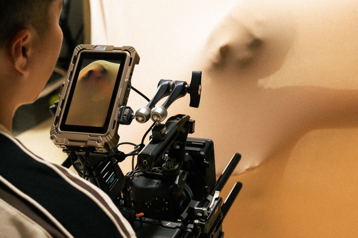 Behind the scenes: camera rig and monitor on set